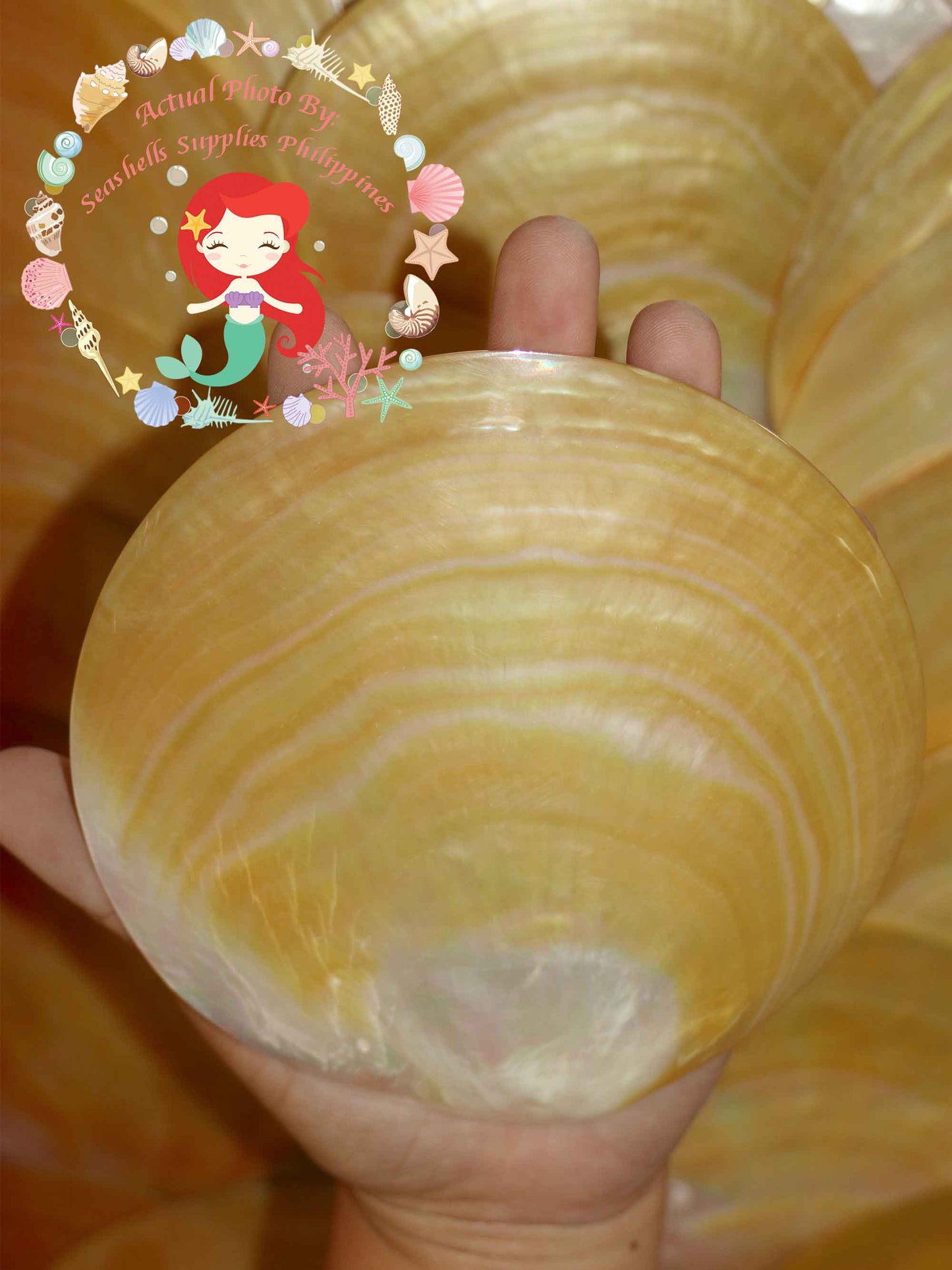 mother-of-pearl-round-plates-5-inches