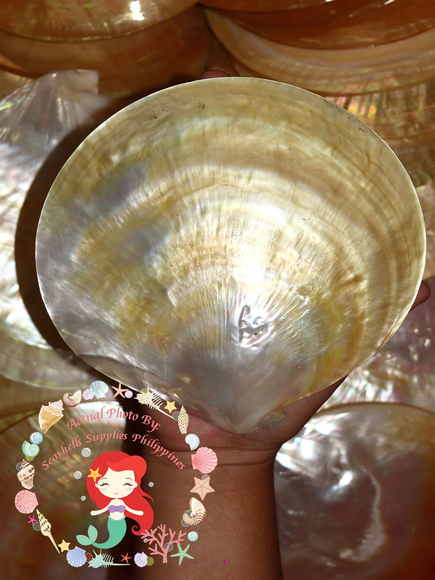 mother-of-pearl-round-plates-7-inches
