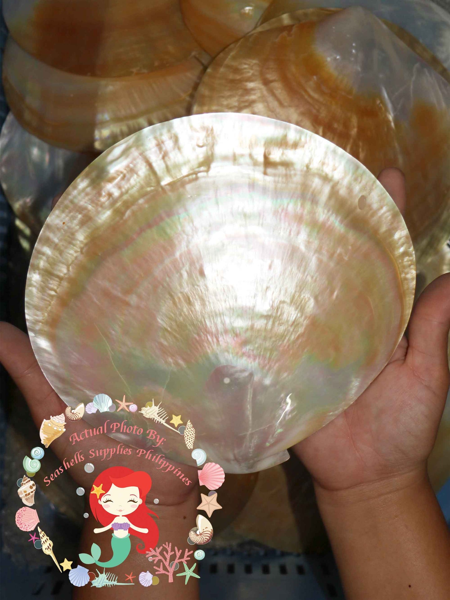 mother-of-pearl-round-plates-8-inches