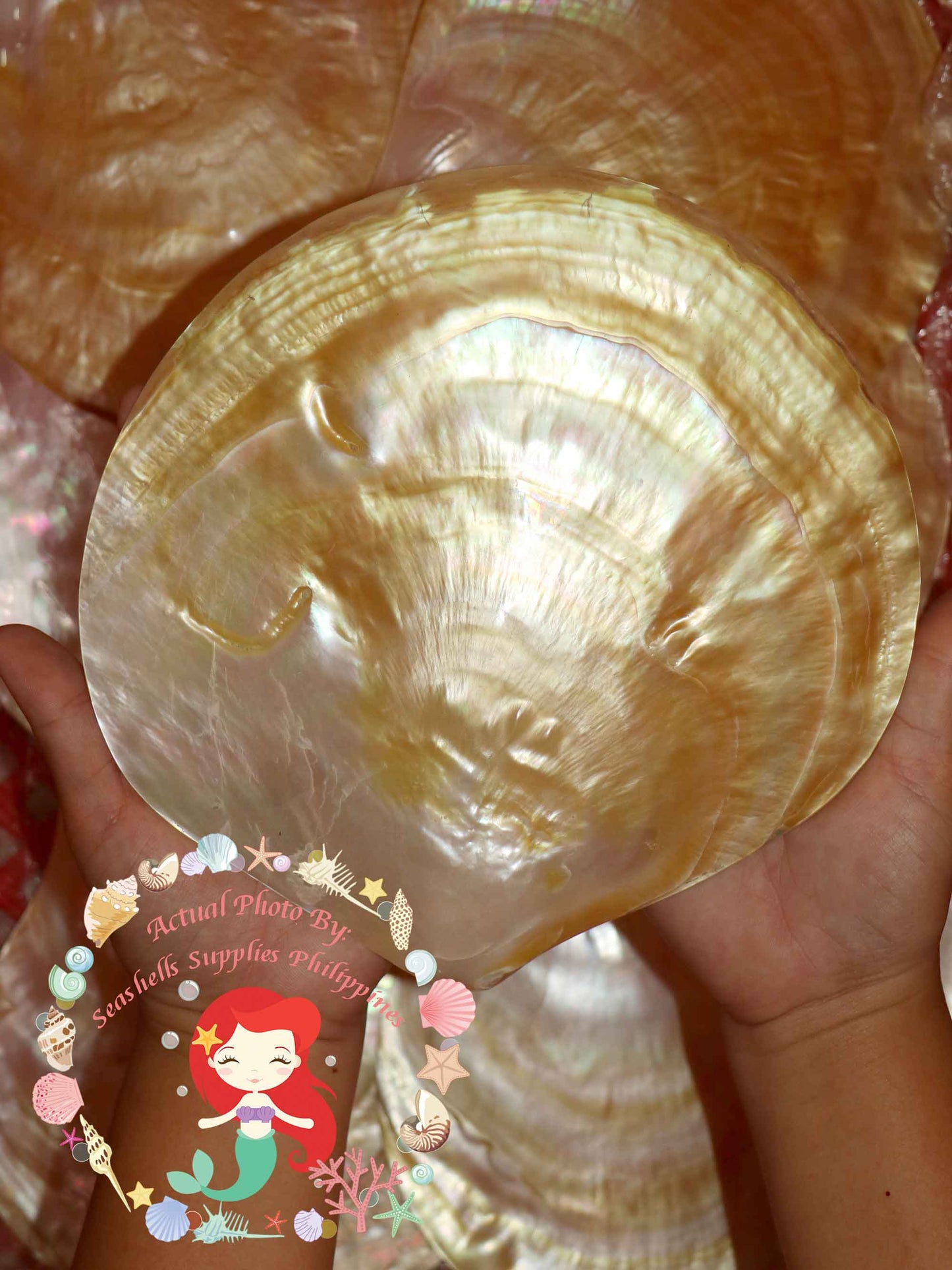 mother-of-pearl-round-plates-9-inches