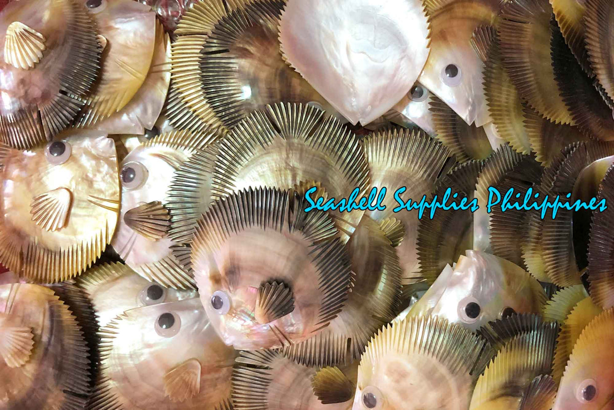 Mop Plates | Black Lip | Fish | 3.5 - 3.75 Inches