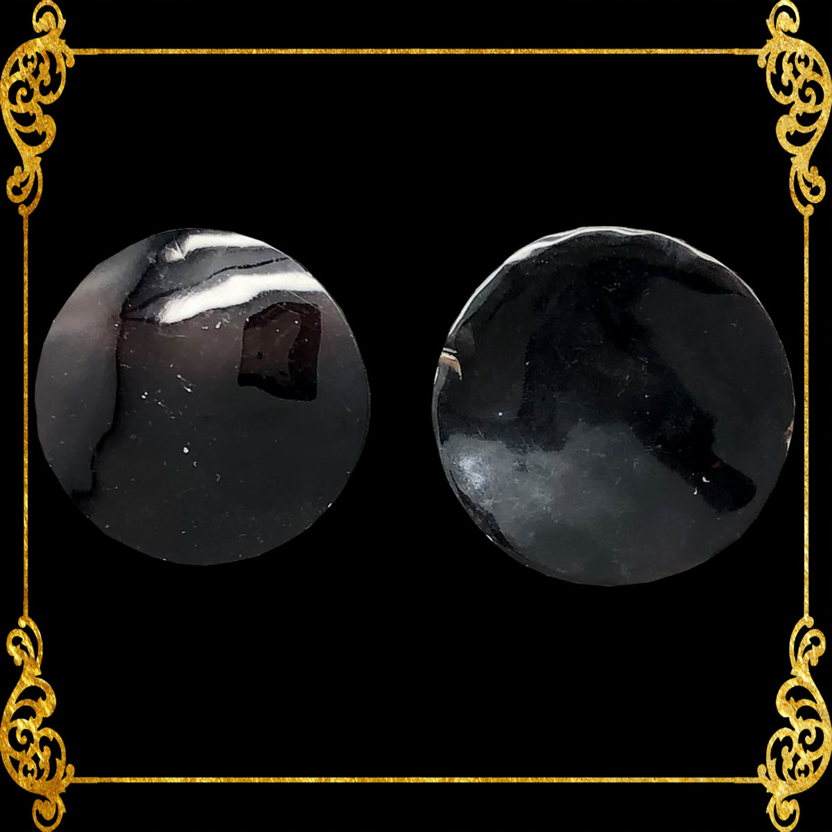 black-maroon-indo-pacific-pen-shell-polished-round-4-inches