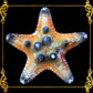 Starfish | Bukol | Armoured Starfish | Natural | 9 - 10 Inches