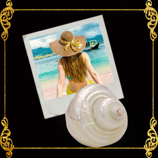 Calling Card Holder | Picture Holder | Turbo Pearlized Shells