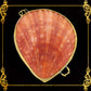 Coin Purse | Pill Box | Jewelry Holder | Made of Real Seashells