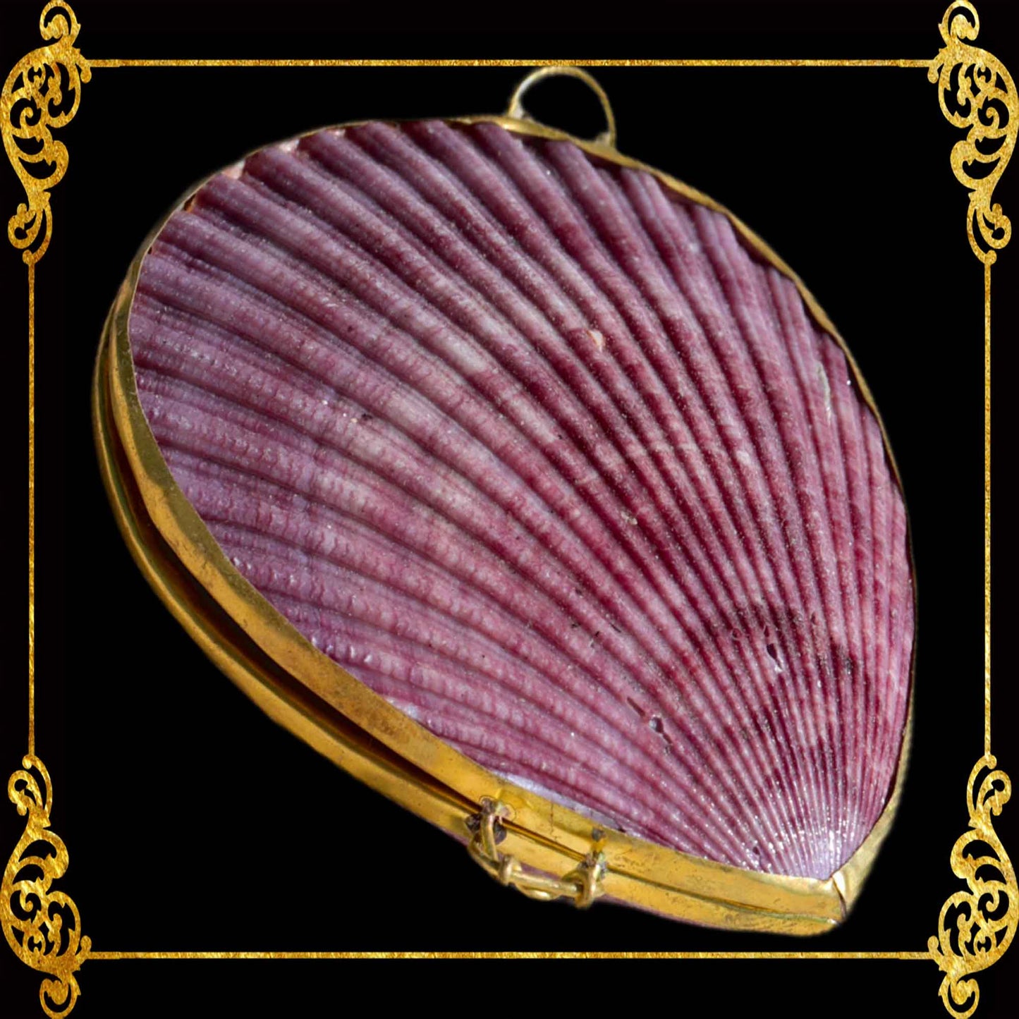 Coin Purse | Pill Box | Jewelry Holder | Made of Real Seashells