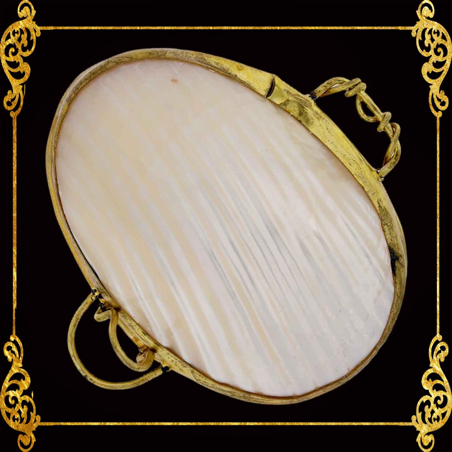 Coin Purse | Pill Box | Jewelry Holder | Made of Real Seashells