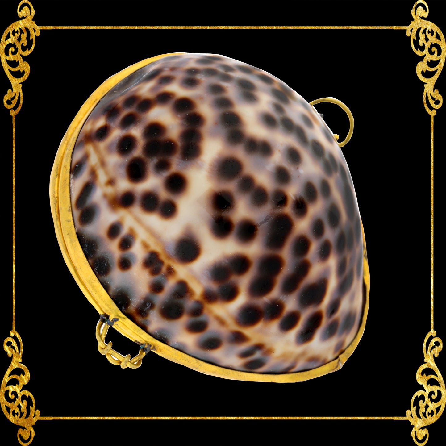 Coin Purse | Pill Box | Jewelry Holder | Made of Real Seashells