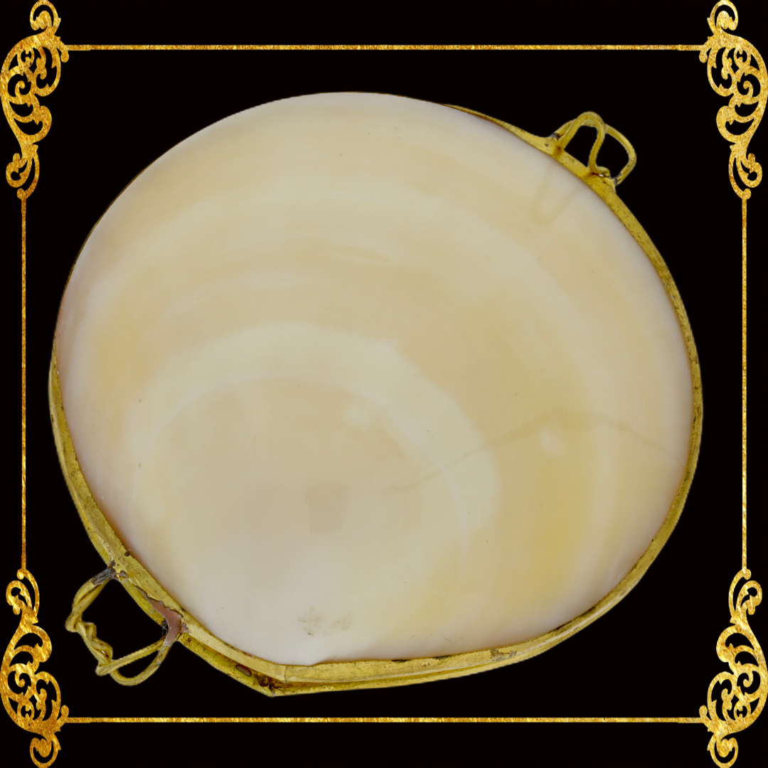 Coin Purse | Pill Box | Jewelry Holder | Made of Real Seashells