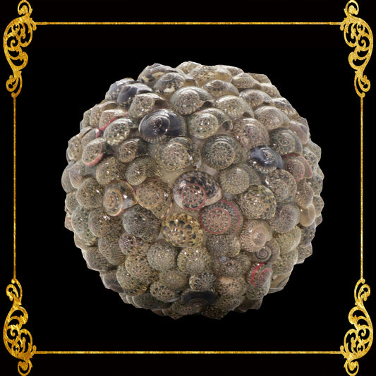 Christmas Ball Ornament