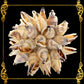 Christmas Ball Ornament