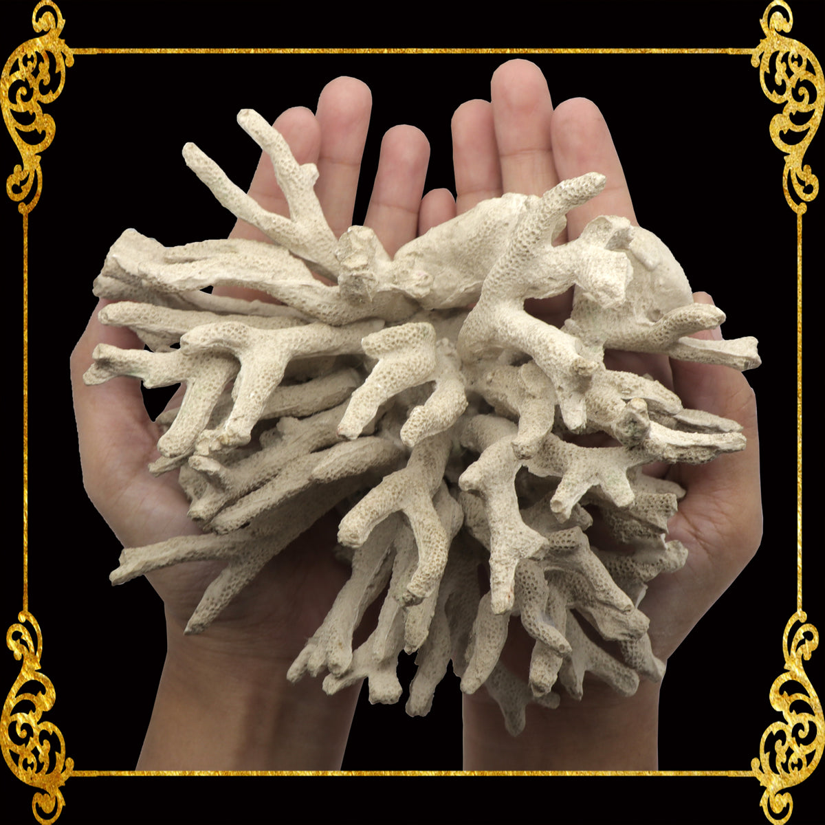 Fake Coral | Made of Resins | Large  | Aquarium Decorations