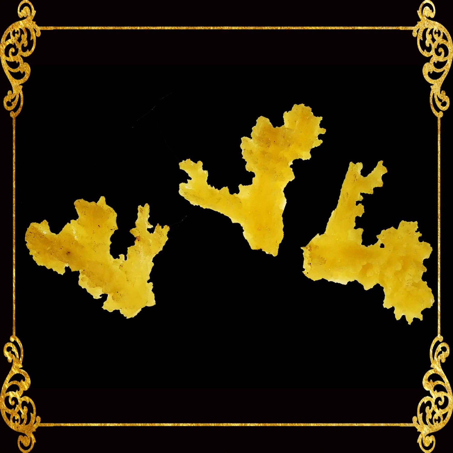 Coral Resin