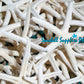 Starfish Finger | White | Linkia Laevigata | 7 - 8.9 Inches