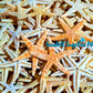 Starfish | Flat Starfish | Sand Star | 3 - 5 Inches | 1 Piece