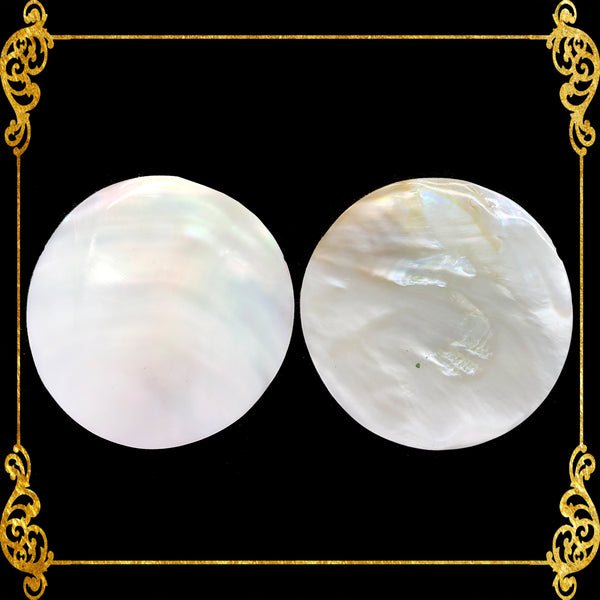 Pearl Clam | White Iridescent | Kabibe Round Polished | 4 Inches