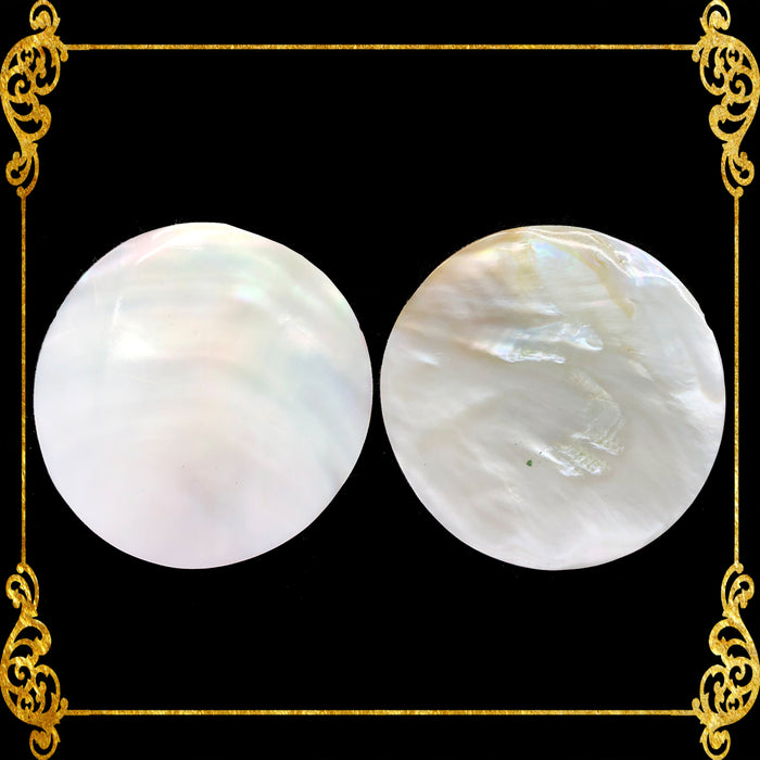 Pearl Clam | White Iridescent | Kabibe Round Polished | 5 Inches