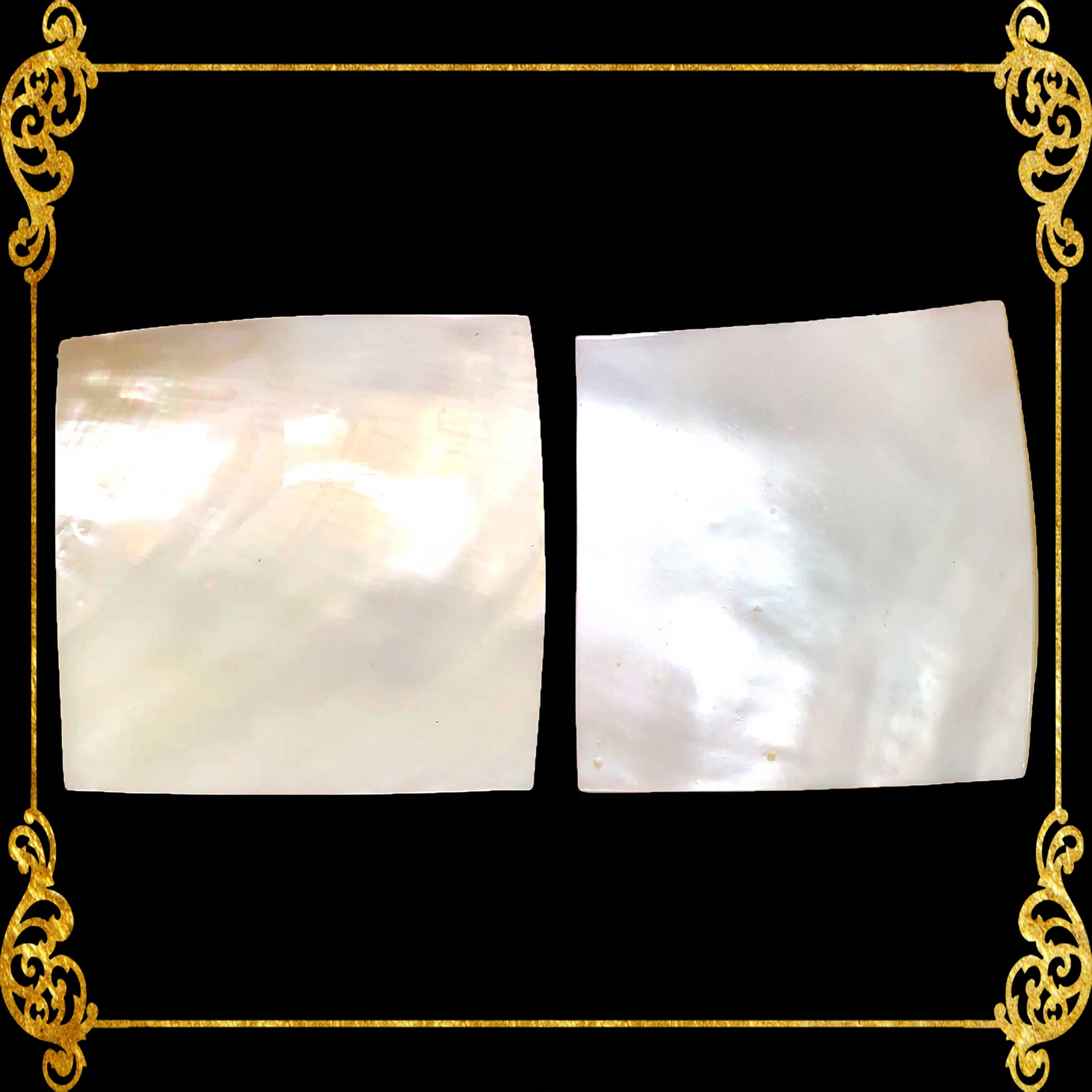 Pearl Clam | White Iridescent | Hyriopsis Schlegelii Shell Square | 2 x 2 Inches