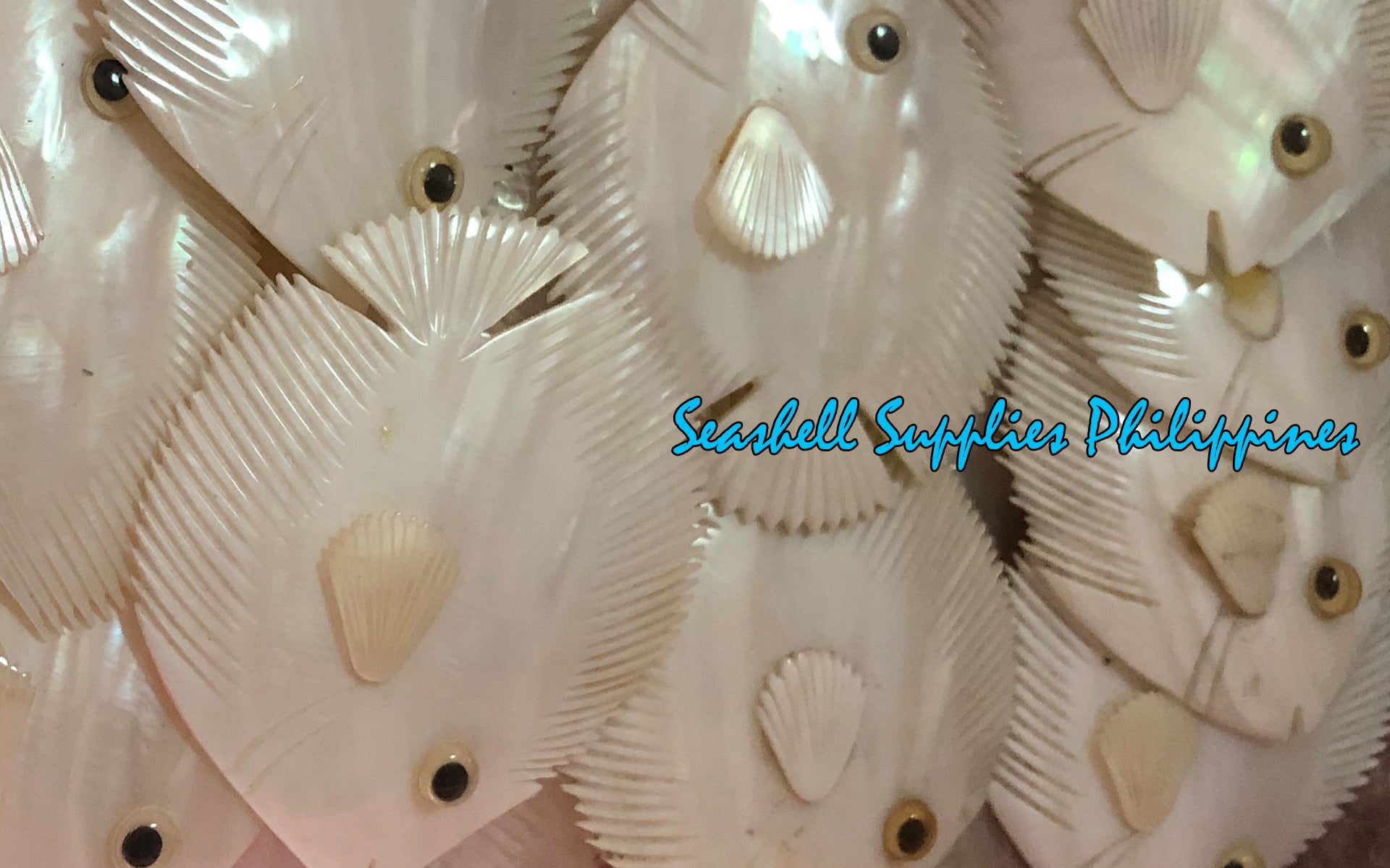 Pearl Clam | White Iridescent | Kabibe Fish Shape | 3 - 3.5 Inches