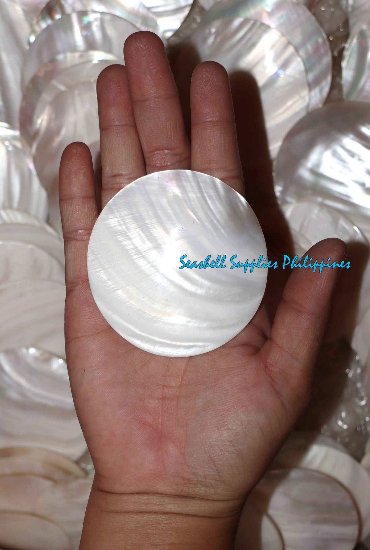 Pearl Clam | White Iridescent | Kabibe Round Polished | 2 .5 Inches