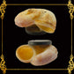 Shell Ref Magnets | Macaroni