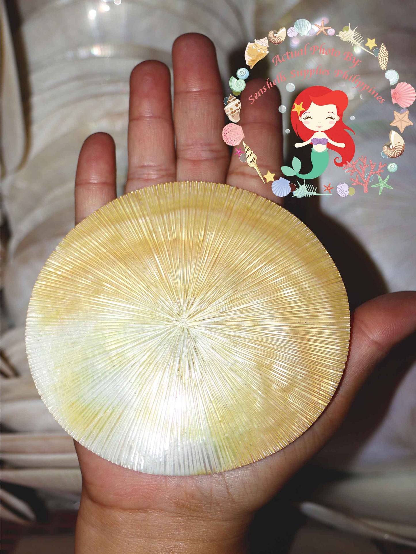 Mother Of Pearl | Round | Sunburst | 4 Inches