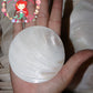 Pearl Clam |  White Iridescent | Hyriopsis Schlegelii Sunburst | 2 Inches