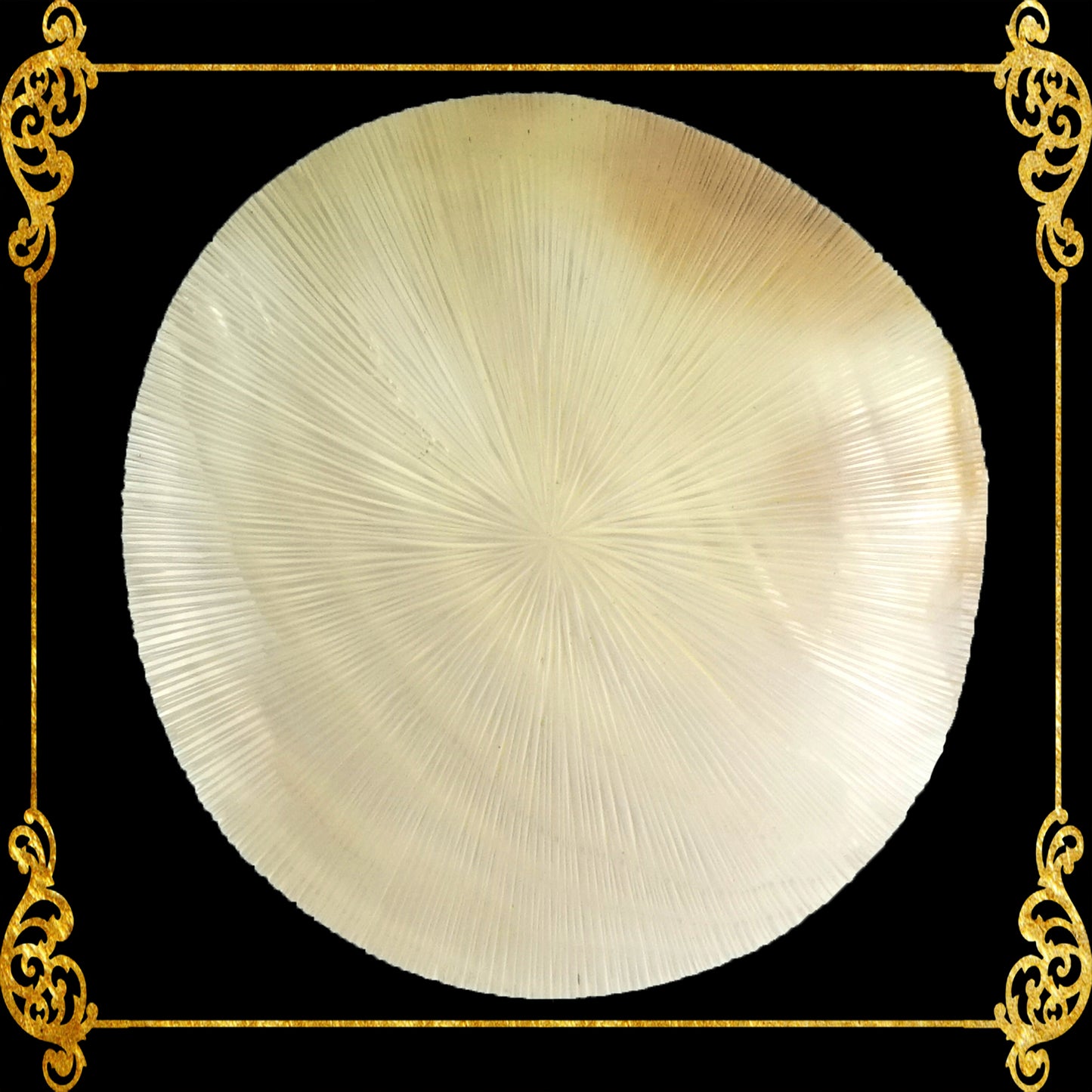 Mother Of Pearl | Round | Sunburst | 2 Inches