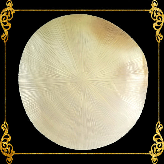 Mother Of Pearl | Round | Sunburst | 3 Inches