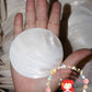 Pearl Clam |  White Iridescent | Hyriopsis Schlegelii Sunburst | 3 Inches