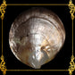 mother-of-pearl-black-lip-round-plates-3.75-inches