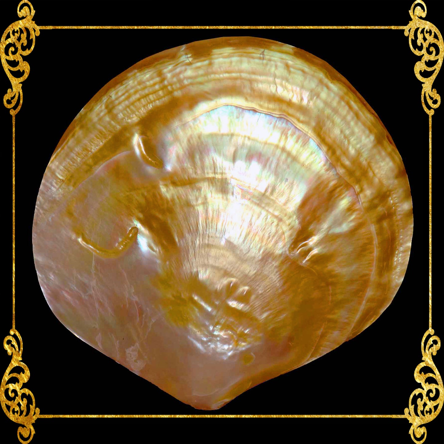mother-of-pearl-round-plates-7.8-inches