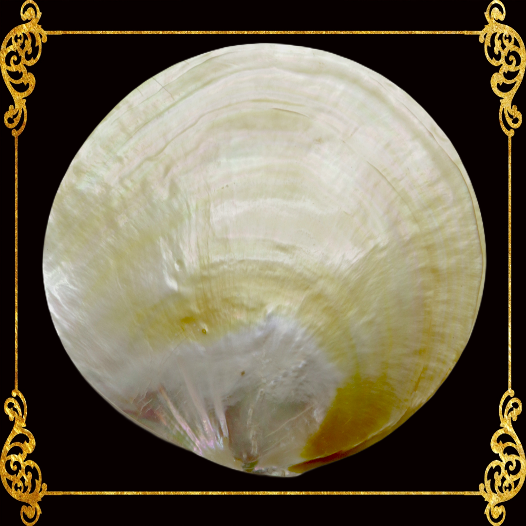 mother-of-pearl-round-plates-4 Inches