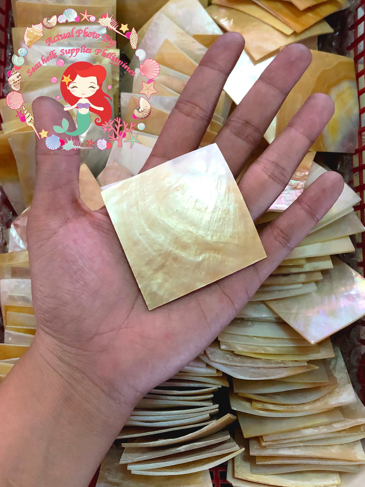 Mother Of Pearl | Square Shape | 2x2 Inches
