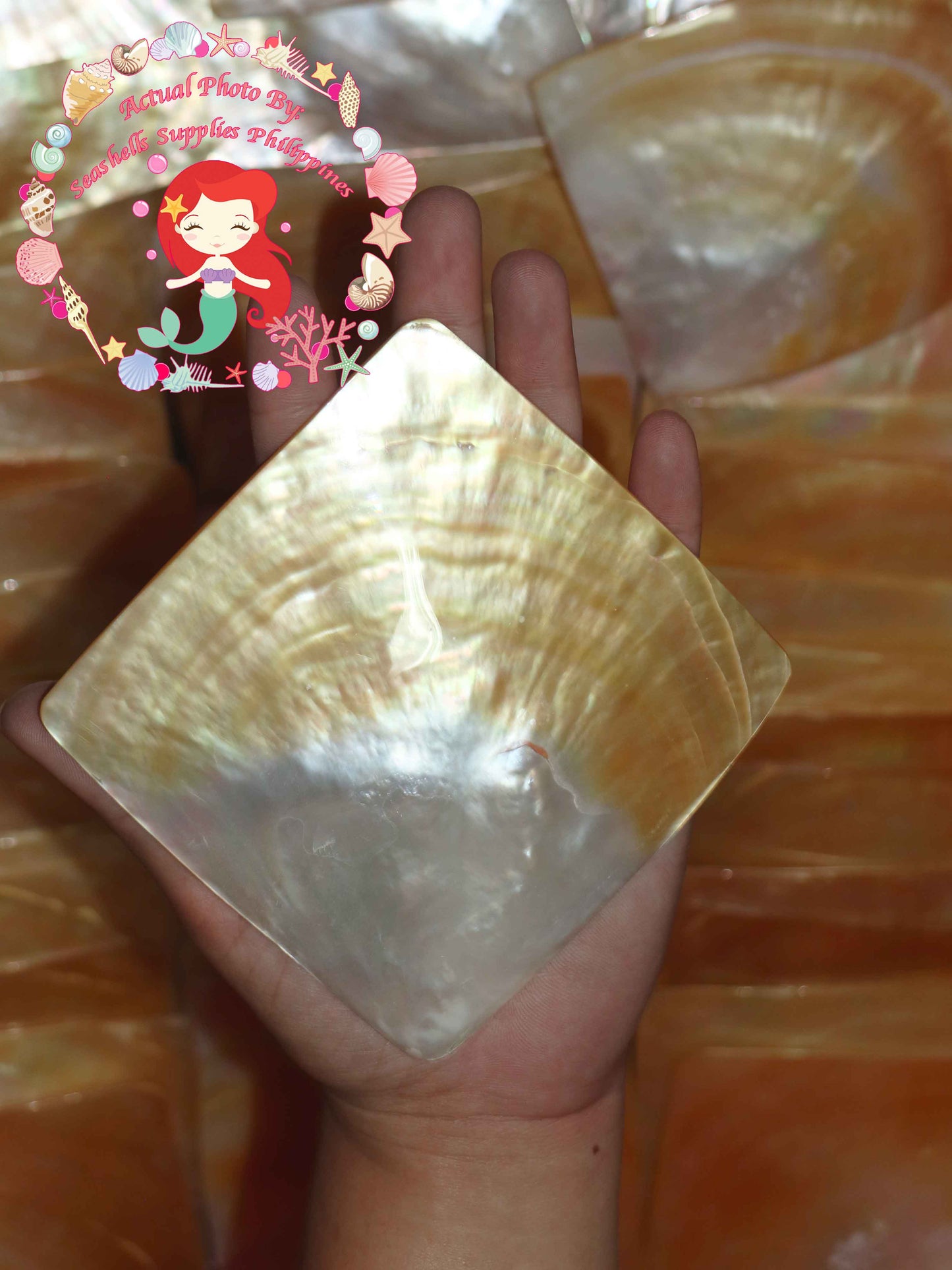 Mother Of Pearl | Square Shape | 4x4 Inches