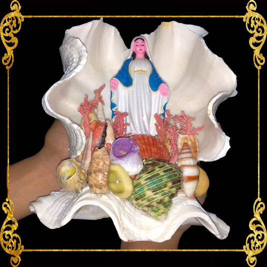 Christian Decor | Mama Mary in Clams Shell | 7 Inches
