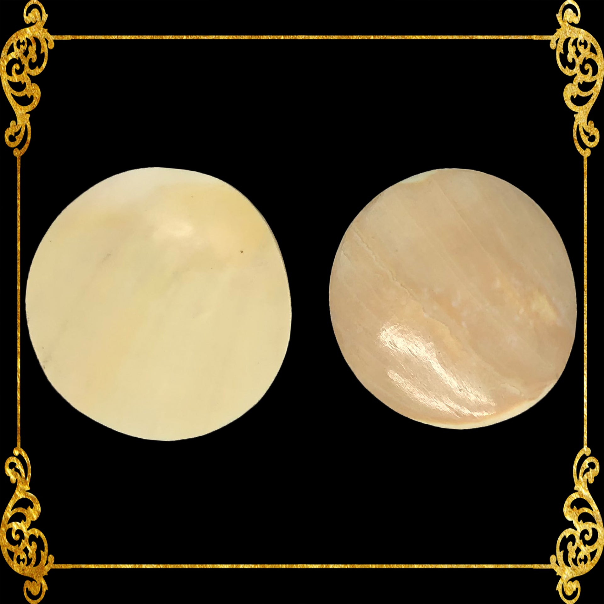 melo-shell-cut-aethiopica-polished-round-3-inches