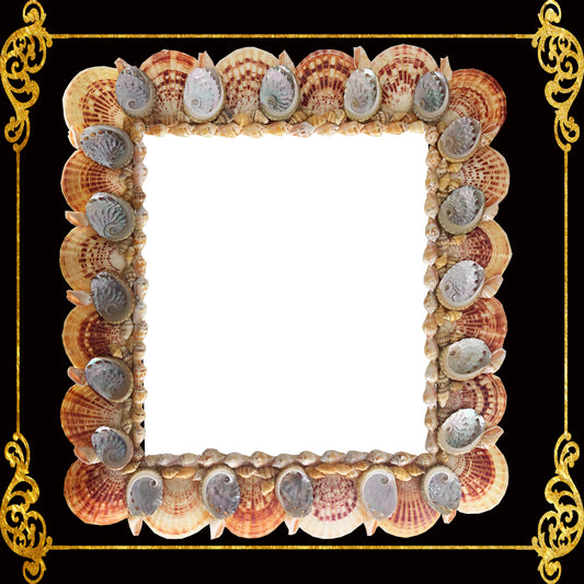 Seashell Mirror Frame | Macarense & Short Abalone with Assorted Shells