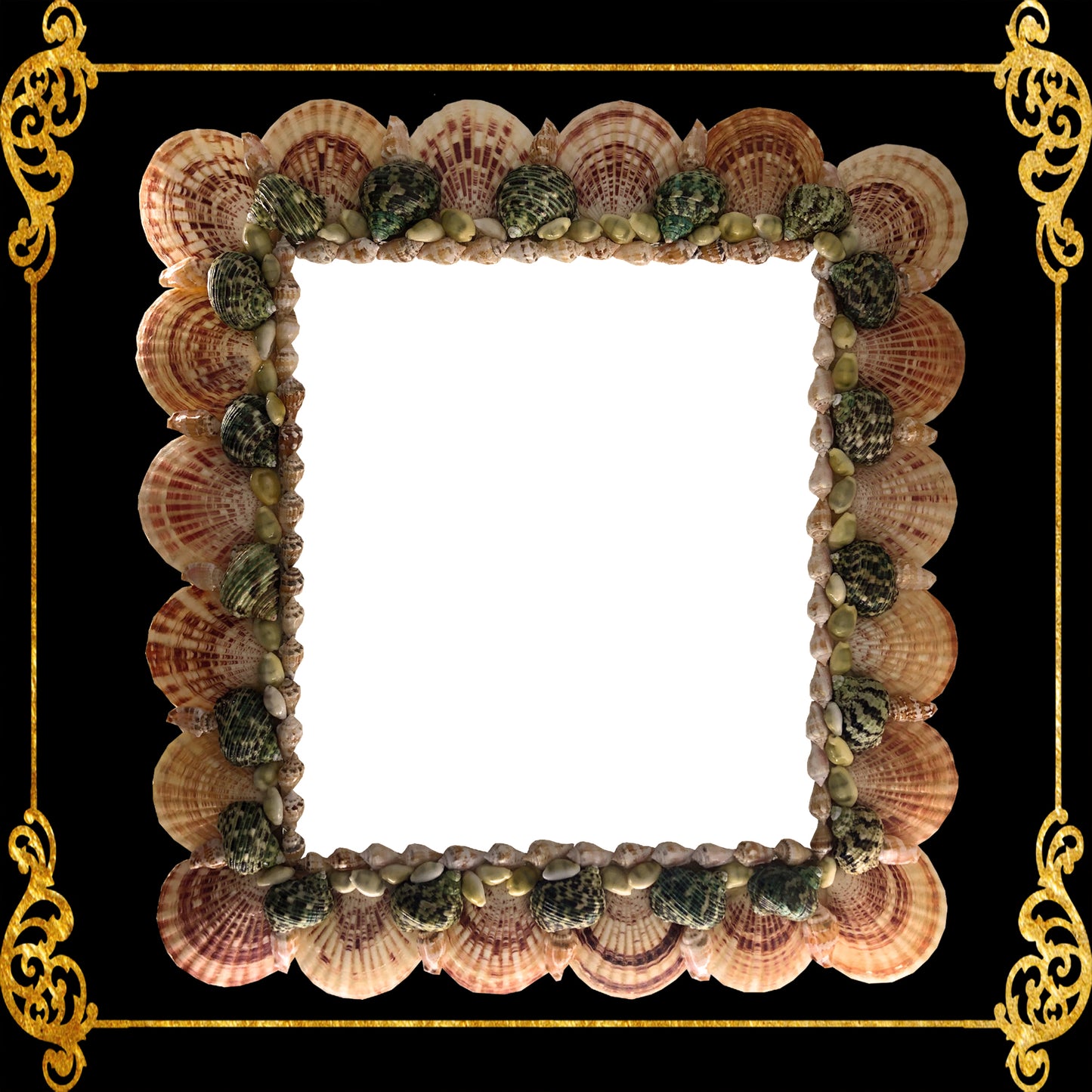 Seashell Mirror Frame | Macarense With Turbo Green