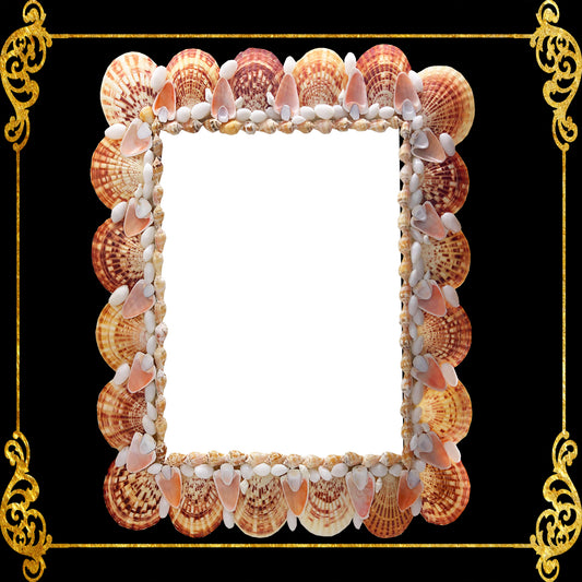 Seashell Mirror Frame | Macarense w/ Assorted Shells