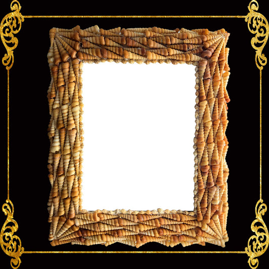 Seashell Mirror Frame | Made of Real Shells | Tortilla