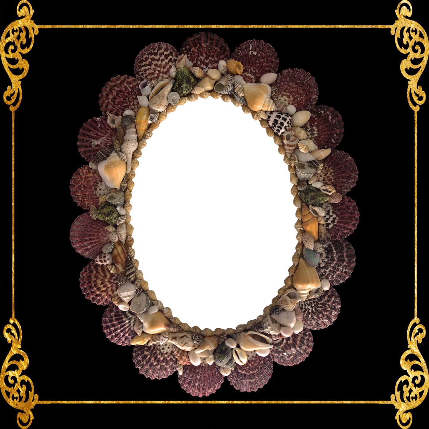 Seashell Mirror Frame Oblong Assorted Shell