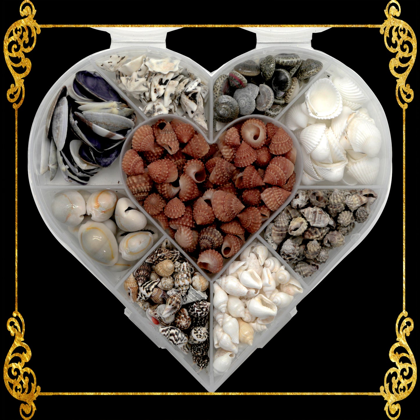 Seashell Bead Set in Heart Shape Plastic Organizer