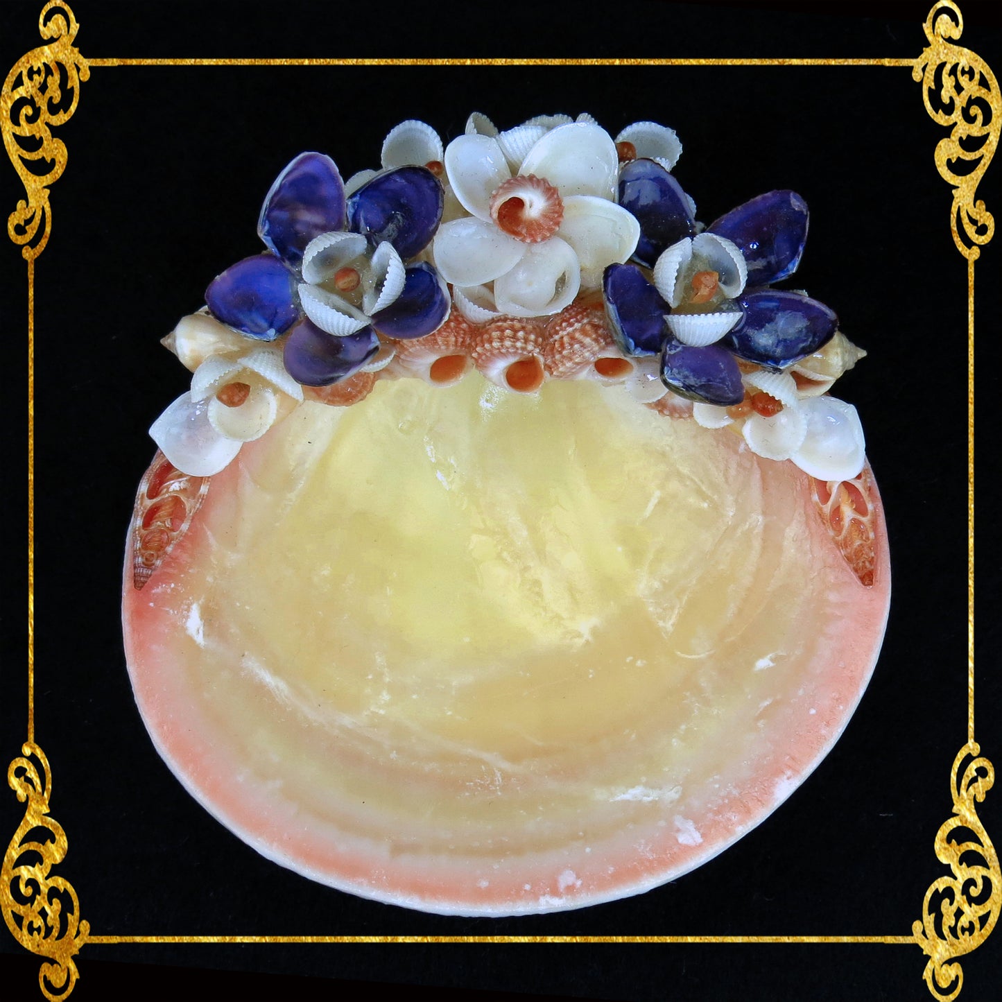 Plant Holder | Trinket | Soap Dish | Codakia Seashell