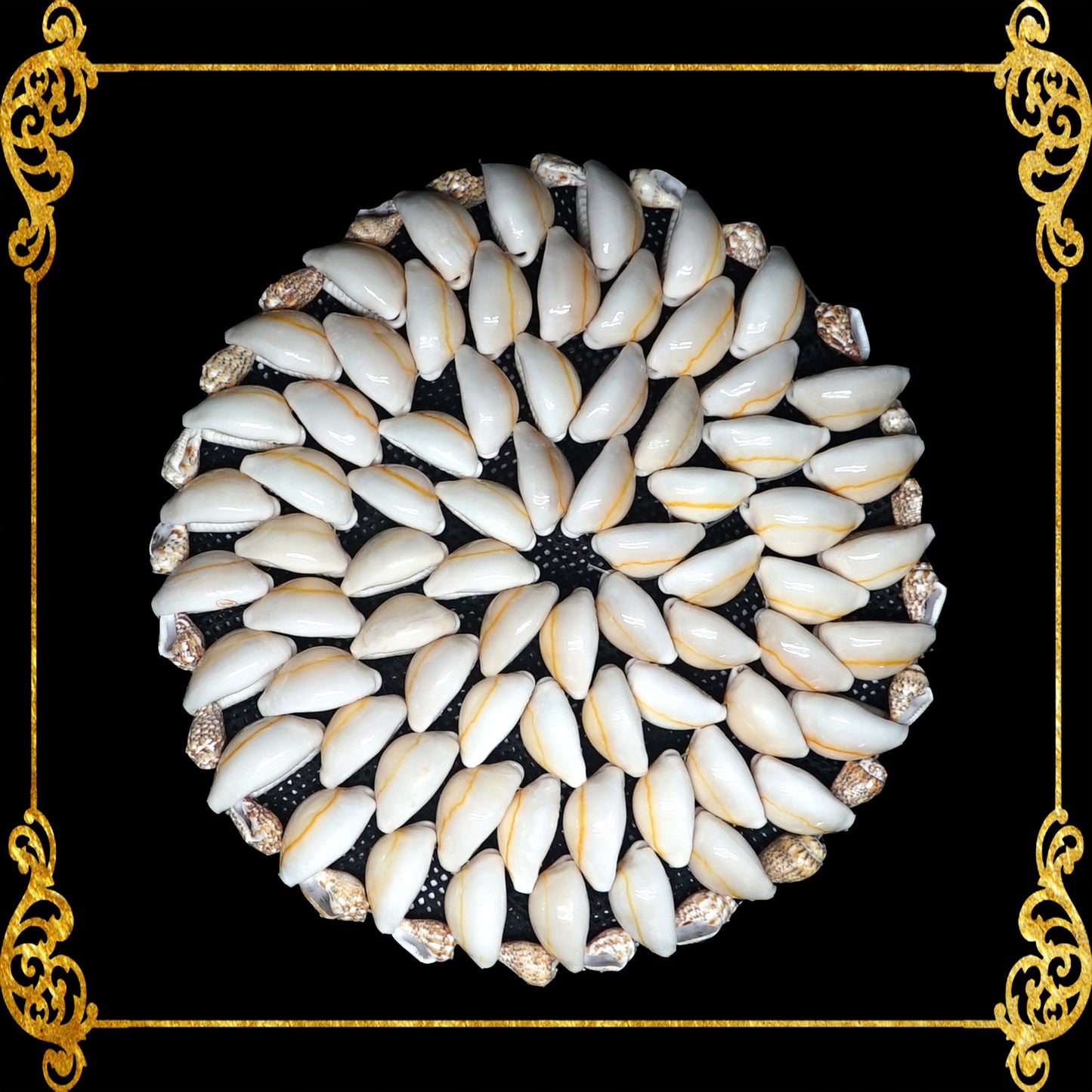 Coaster Made of Cowry Shells Design