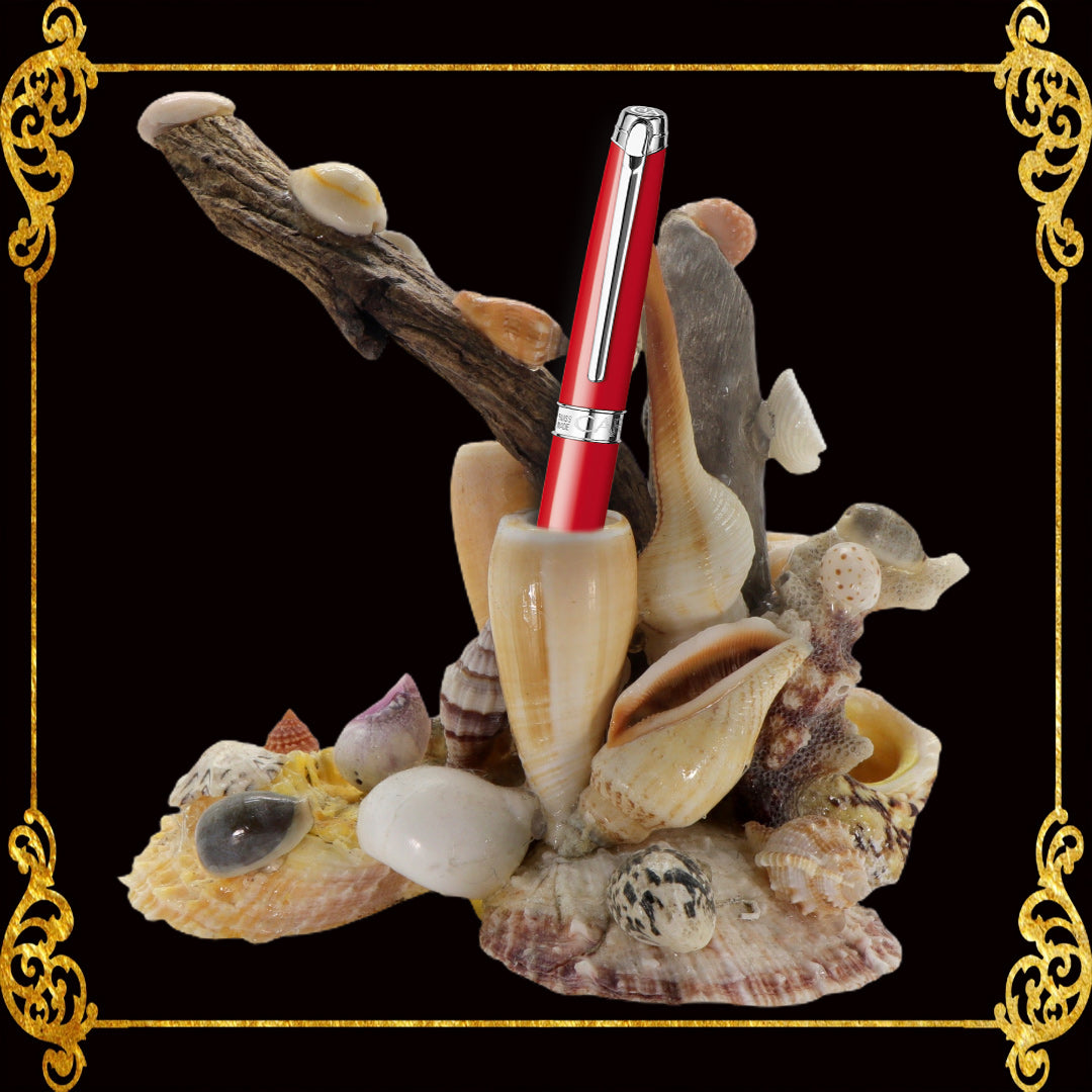 Pen Holder | Seahell with Driftwoods