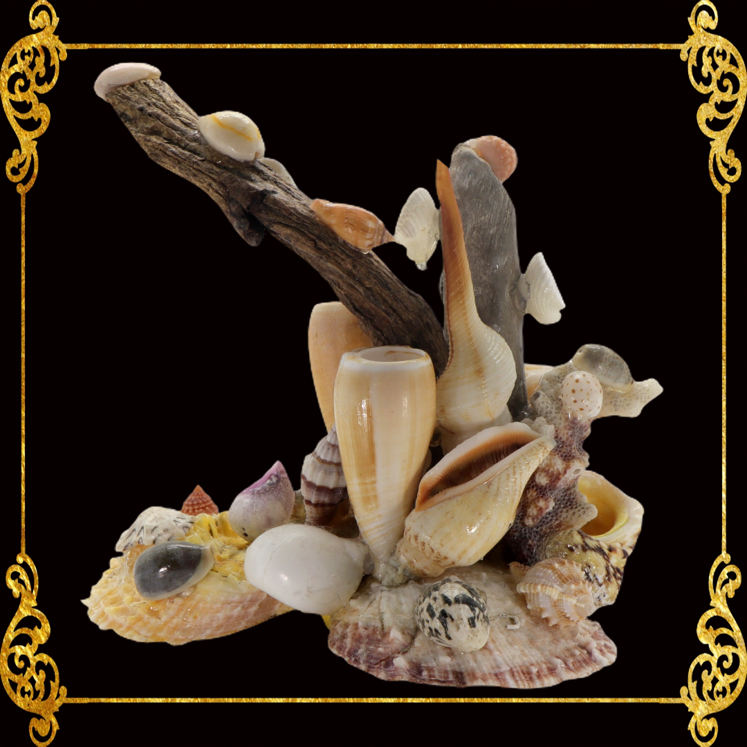 Pen Holder | Seahell with Driftwoods