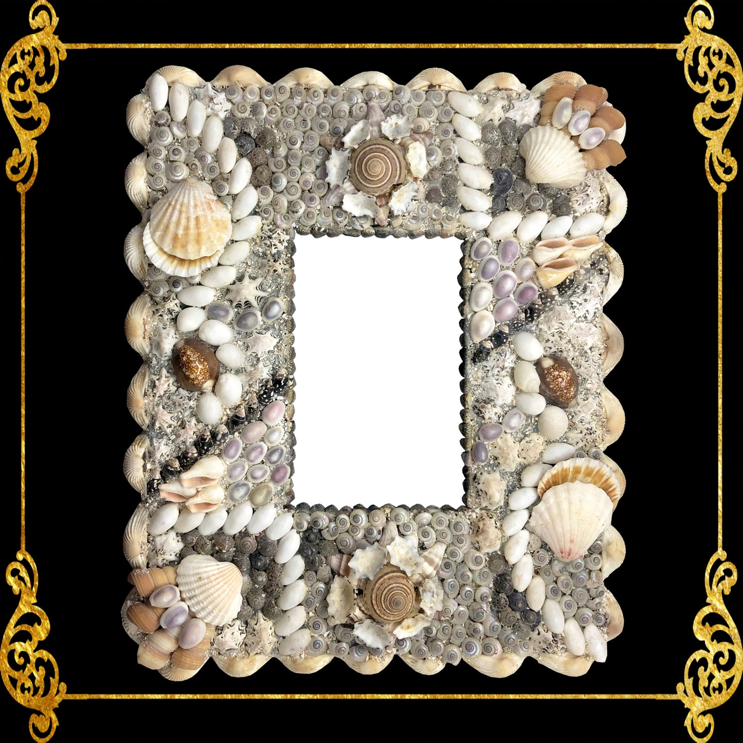 Seashell Frame | Assorted Shell - Picture Frame