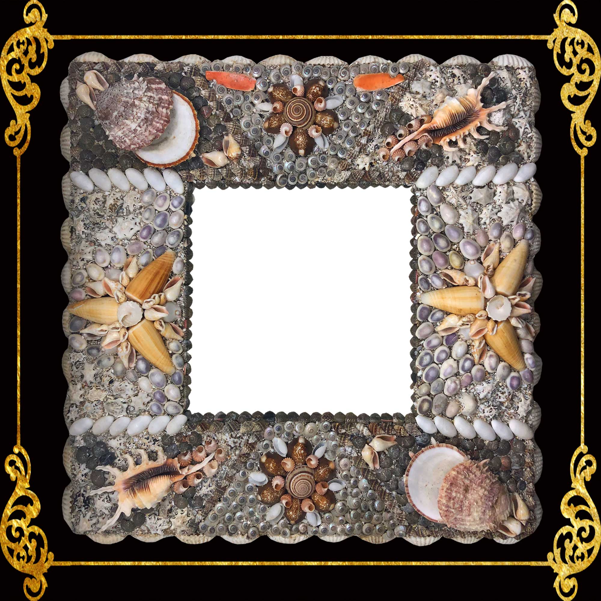 Seashell Frame | Assorted Shell - Picture Frame – Seashell Supplies ...