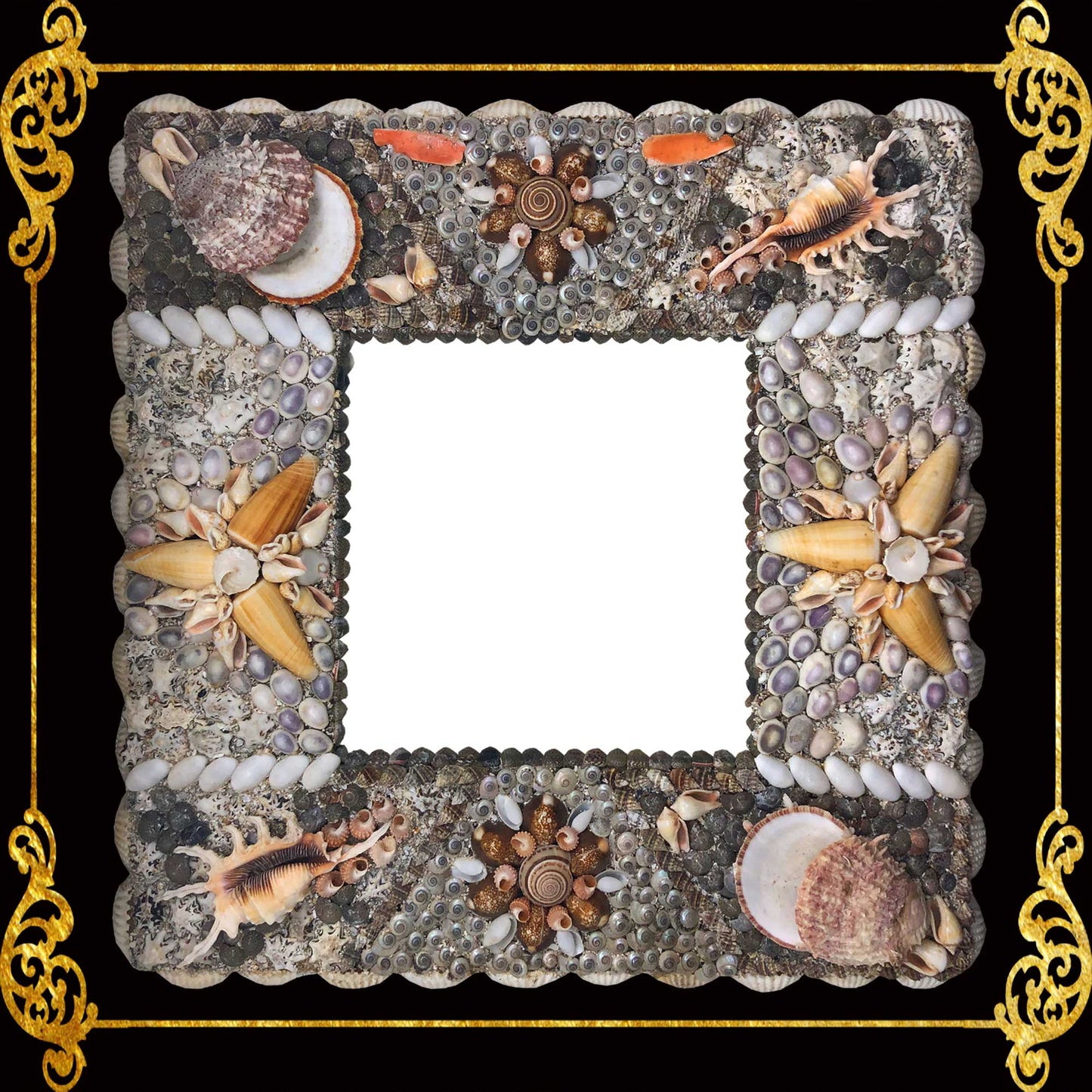 Seashell Frame | Assorted Shell - Picture Frame